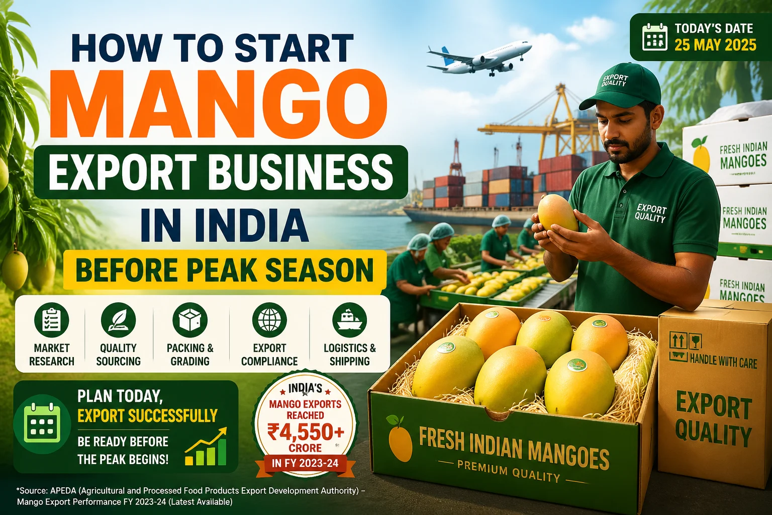 How to Start Mango Export Business in India Before Peak Season